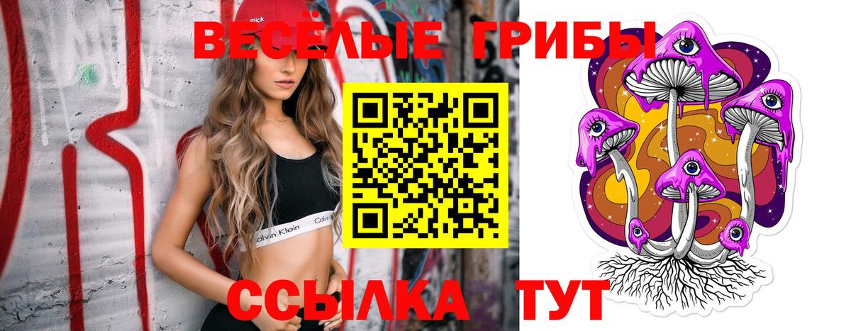 Псилоцибиновые грибы прущие грибы  Вход с VPN  цена   Саяногорск  Псилоцибиновые грибы MAGIC MUSHROOMS 
